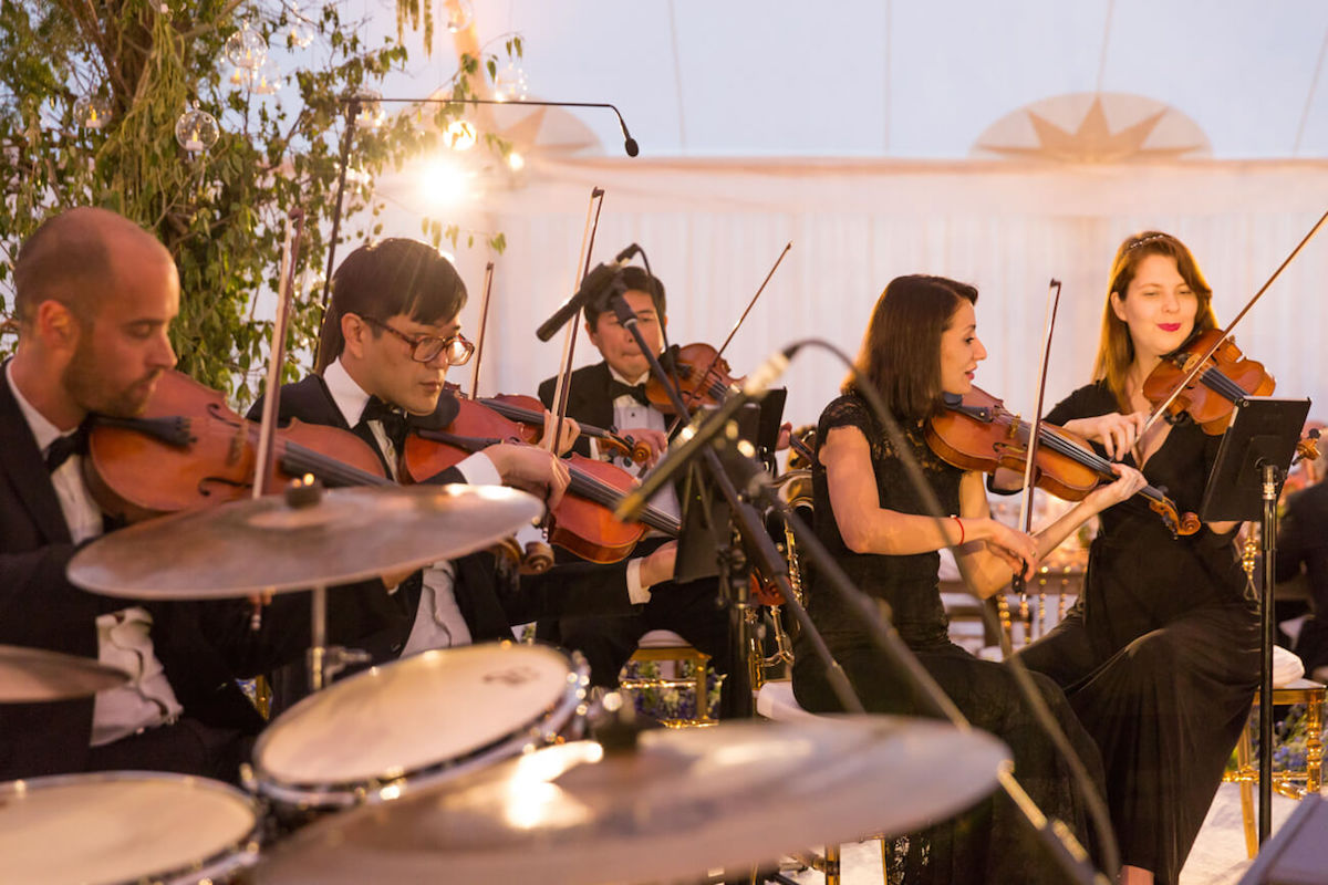 wedding string musicians 